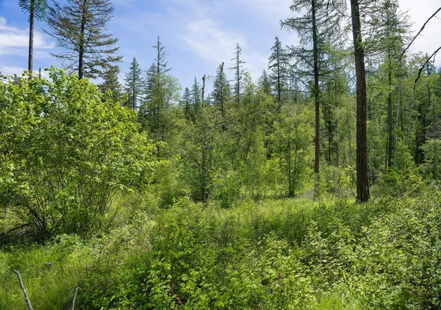 Photo 4 of Land for sale at 477 Chief Cliff Trl, Bigfork, MT 59911 | MLS# 30070233 | Listing updated on 2026-08-07