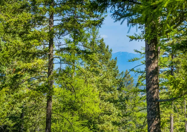 Photo 2 of Land for sale at 643 Saddlehorn Trl, Bigfork, MT 59911 | MLS# 30070231 | Listing updated on 2026-08-07