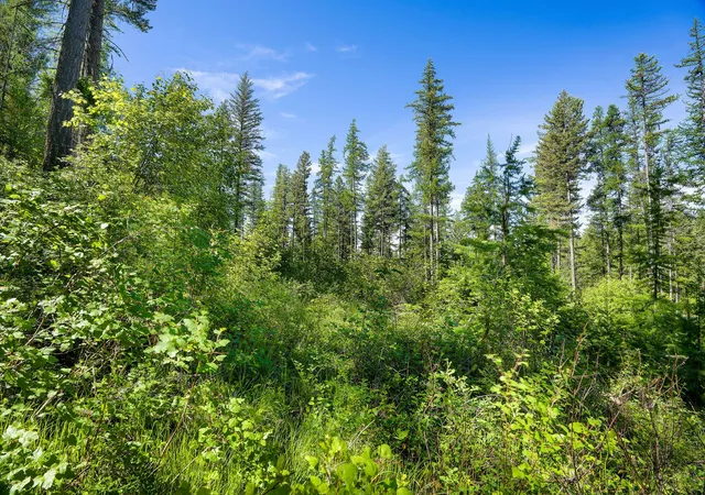 Photo 3 of Land for sale at 643 Saddlehorn Trl, Bigfork, MT 59911 | MLS# 30070231 | Listing updated on 2026-08-07