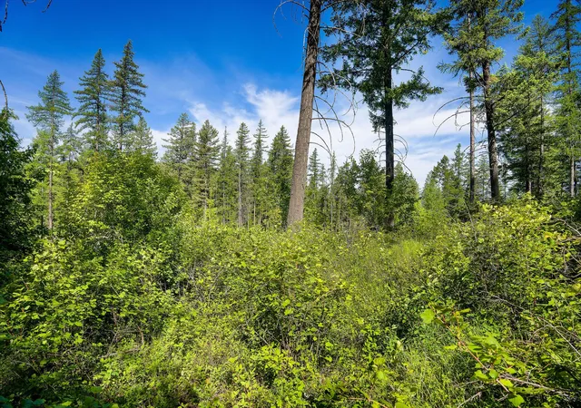 Photo 4 of Land for sale at 643 Saddlehorn Trl, Bigfork, MT 59911 | MLS# 30070231 | Listing updated on 2026-08-07
