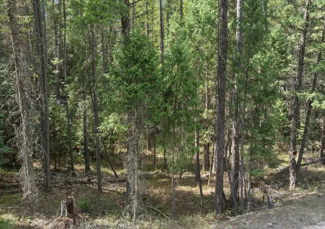 Photo 4 of Land for sale at 262 N Many Lakes Dr, Kalispell, MT 59901 | MLS# 30071145 | Listing updated on 2026-08-19