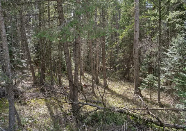 Photo 5 of Land for sale at 262 N Many Lakes Dr, Kalispell, MT 59901 | MLS# 30071145 | Listing updated on 2026-08-19