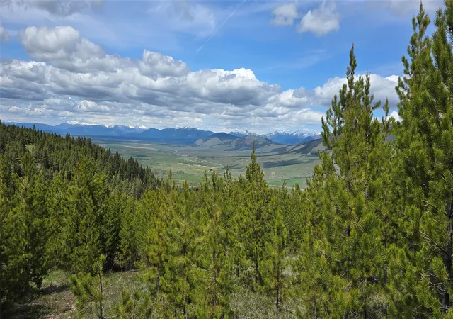 Photo 21 of Land for sale at 8 Tract Hall Crk, Helmville, MT 59843 | MLS# 30071633 | Listing updated on 2026-08-20