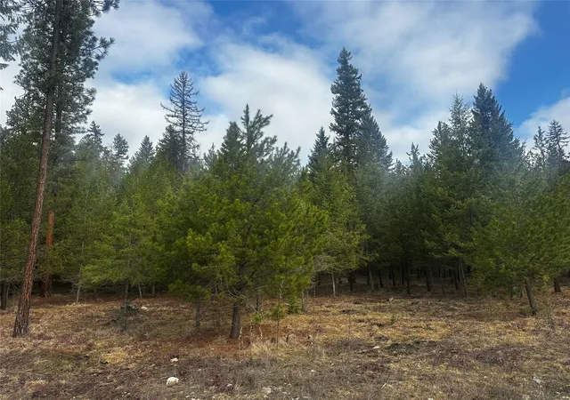Photo 5 of Land for sale at Nhn Graves Crk Loop, Thompson Falls, MT 59873 | MLS# 30072064 | Listing updated on 2026-08-10
