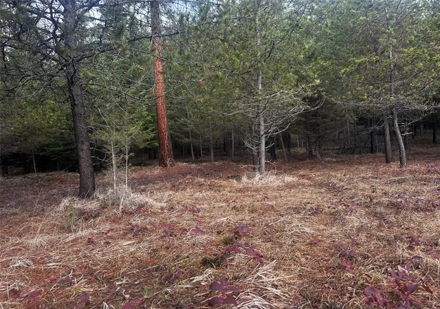 Photo 8 of Land for sale at Nhn Graves Crk Loop, Thompson Falls, MT 59873 | MLS# 30072064 | Listing updated on 2026-08-10
