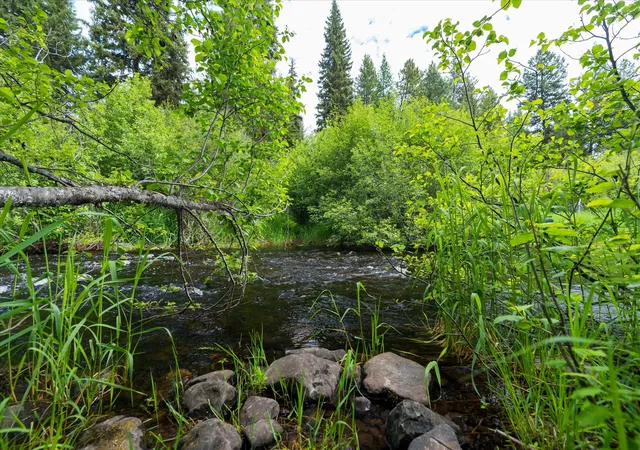 Photo 1 of Land for sale at 58 Loon Connector Rd, Libby, MT 59923 | MLS# 30072592 | Listing updated on 2026-08-07