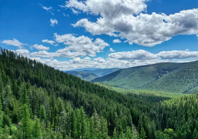 Photo 74 of Single family home for sale at 2197 W Tower Rd, Saltese, MT 59867 | MLS# 30072703 | Listing updated on 2026-08-24