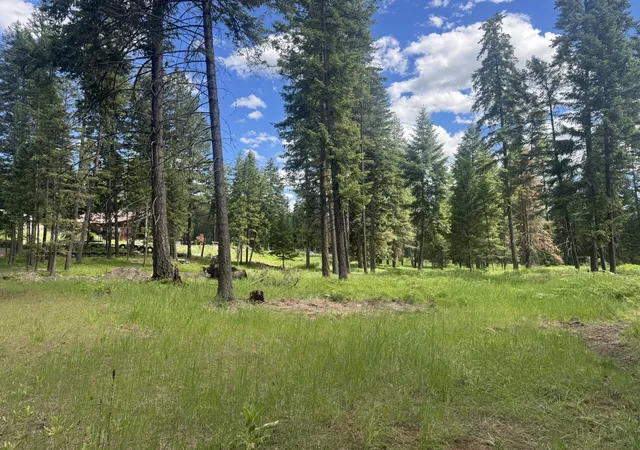 Photo 14 of Land for sale at Nhn Big Fir Dr, Thompson Falls, MT 59873 | MLS# 30072899 | Listing updated on 2026-08-21