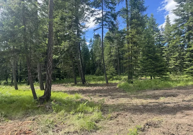 Photo 1 of Land for sale at Nhn Big Fir Dr, Thompson Falls, MT 59873 | MLS# 30072899 | Listing updated on 2026-08-21