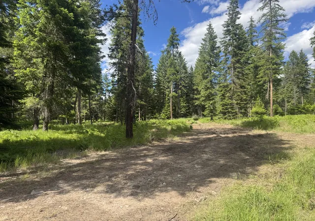 Photo 2 of Land for sale at Nhn Big Fir Dr, Thompson Falls, MT 59873 | MLS# 30072899 | Listing updated on 2026-08-21