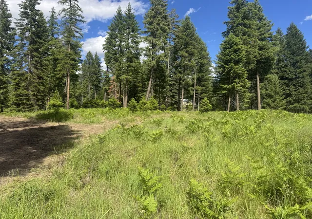 Photo 3 of Land for sale at Nhn Big Fir Dr, Thompson Falls, MT 59873 | MLS# 30072899 | Listing updated on 2026-08-21