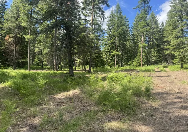 Photo 4 of Land for sale at Nhn Big Fir Dr, Thompson Falls, MT 59873 | MLS# 30072899 | Listing updated on 2026-08-21