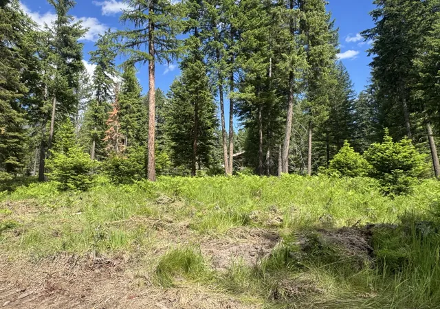 Photo 5 of Land for sale at Nhn Big Fir Dr, Thompson Falls, MT 59873 | MLS# 30072899 | Listing updated on 2026-08-21