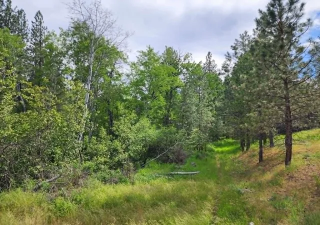 Photo 1 of Land for sale at Nhn Stobie Ln, Hot Springs, MT 59845 | MLS# 30072985 | Listing updated on 2026-08-10