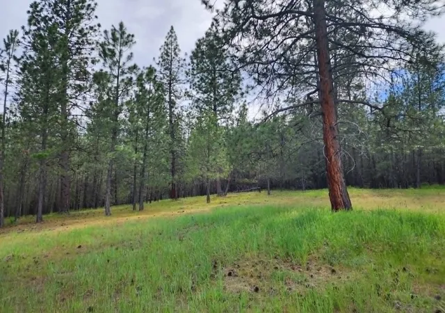 Photo 2 of Land for sale at Nhn Stobie Ln, Hot Springs, MT 59845 | MLS# 30072985 | Listing updated on 2026-08-10