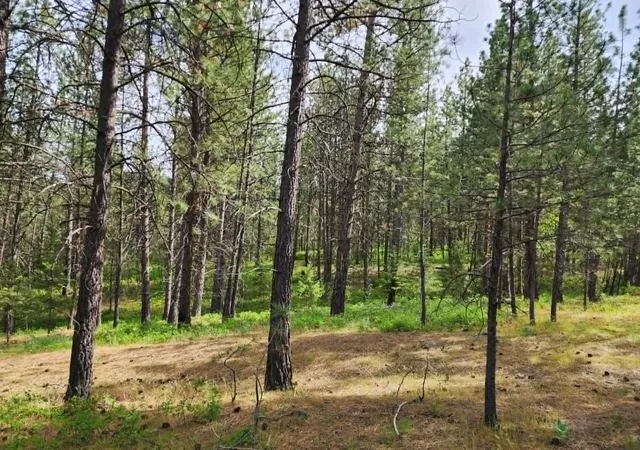 Photo 31 of Land for sale at Nhn Stobie Ln, Hot Springs, MT 59845 | MLS# 30072985 | Listing updated on 2026-08-10