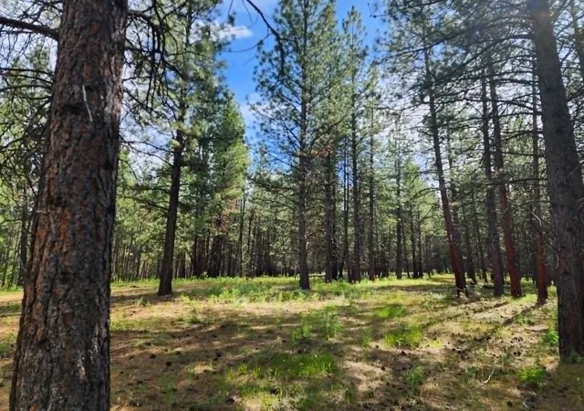 Photo 3 of Land for sale at Nhn Stobie Ln, Hot Springs, MT 59845 | MLS# 30072985 | Listing updated on 2026-08-10