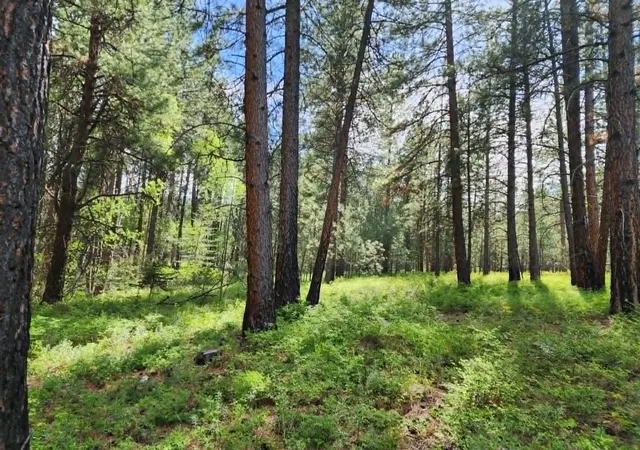 Photo 4 of Land for sale at Nhn Stobie Ln, Hot Springs, MT 59845 | MLS# 30072985 | Listing updated on 2026-08-10