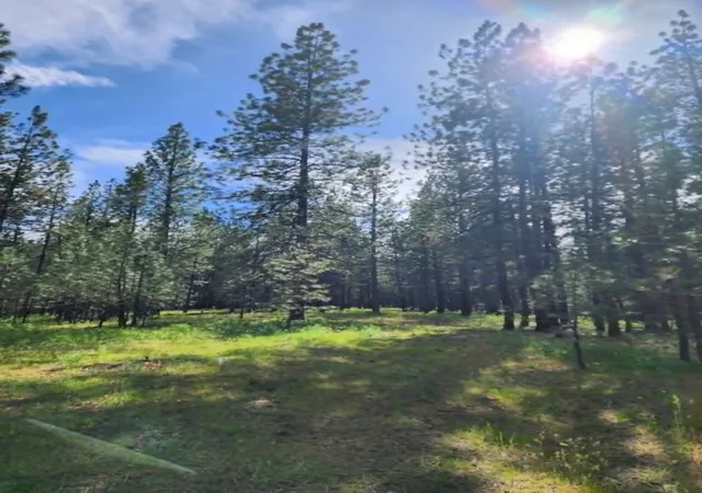 Photo 5 of Land for sale at Nhn Stobie Ln, Hot Springs, MT 59845 | MLS# 30072985 | Listing updated on 2026-08-10