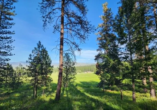 Photo 2 of Land for sale at Nhn Old Hot Springs Rd, Hot Springs, MT 59845 | MLS# 30072981 | Listing updated on 2026-08-10