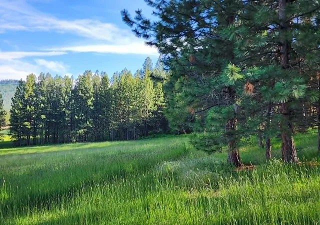 Photo 34 of Land for sale at Nhn Old Hot Springs Rd, Hot Springs, MT 59845 | MLS# 30072981 | Listing updated on 2026-08-10