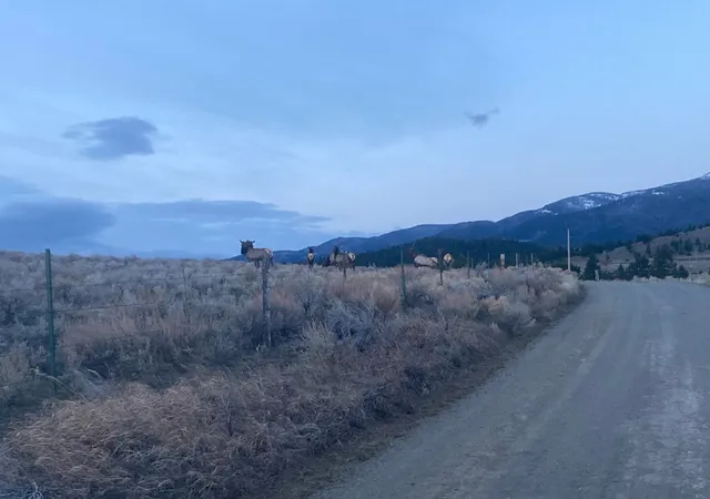 Photo 21 of Land for sale at 49 Cedar Crst Rd, Whitehall, MT 59759 | MLS# 30073253 | Listing updated on 2026-08-25