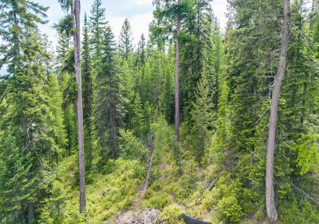 Photo 3 of Land for sale at 211 N Beargrass Cir, Whitefish, MT 59937 | MLS# 30072380 | Listing updated on 2026-08-27