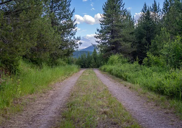 Photo 59 of Single family home for sale at 2658 Mt Hwy 200, Trout Creek, MT 59874 | MLS# 30073437 | Listing updated on 2026-08-21