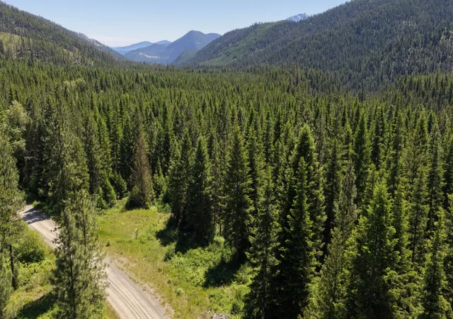 Photo 1 of Land for sale at 4577 Quartz Crk Rd, Libby, MT 59923 | MLS# 30073487 | Listing updated on 2026-07-01