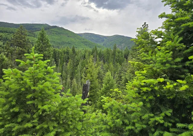 Photo 3 of Land for sale at 4577 Quartz Crk Rd, Libby, MT 59923 | MLS# 30073487 | Listing updated on 2026-07-01