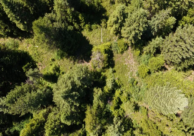 Photo 4 of Land for sale at 4577 Quartz Crk Rd, Libby, MT 59923 | MLS# 30073487 | Listing updated on 2026-07-01