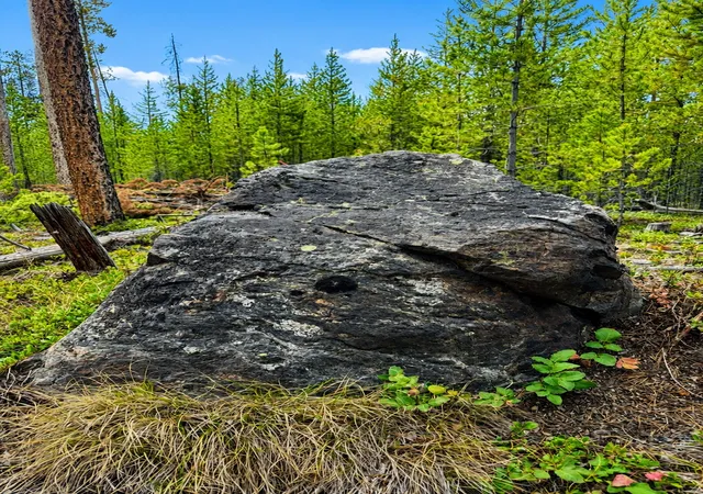 Photo 3 of Land for sale at Lot 8 Tbd Mitchell Dr, Anaconda, MT 59711 | MLS# 30074204 | Listing updated on 2026-08-22