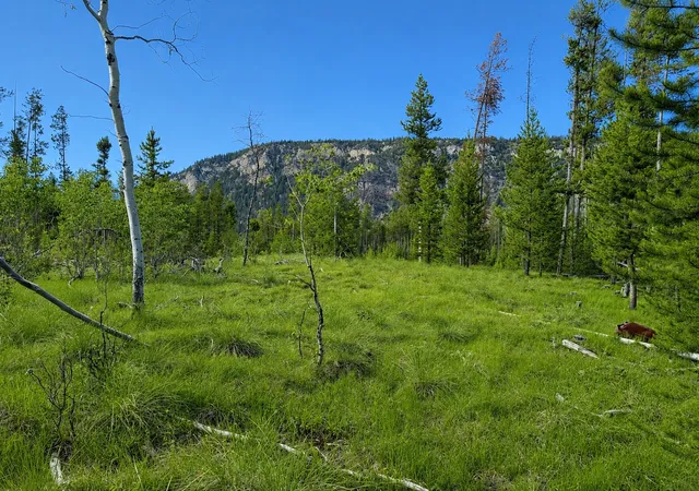 Photo 1 of Land for sale at Lot 26 Tbd Mitchell Dr, Anaconda, MT 59711 | MLS# 30074210 | Listing updated on 2026-08-22