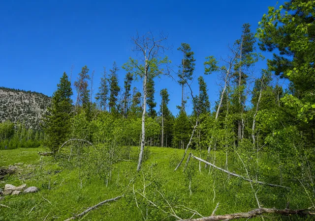 Photo 2 of Land for sale at Lot 26 Tbd Mitchell Dr, Anaconda, MT 59711 | MLS# 30074210 | Listing updated on 2026-08-22