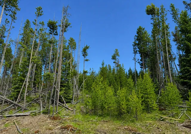 Photo 3 of Land for sale at Lot 26 Tbd Mitchell Dr, Anaconda, MT 59711 | MLS# 30074210 | Listing updated on 2026-08-22