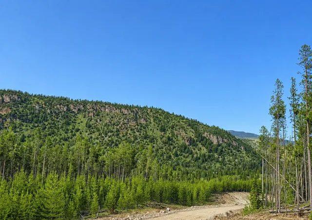 Photo 4 of Land for sale at Lot 26 Tbd Mitchell Dr, Anaconda, MT 59711 | MLS# 30074210 | Listing updated on 2026-08-22