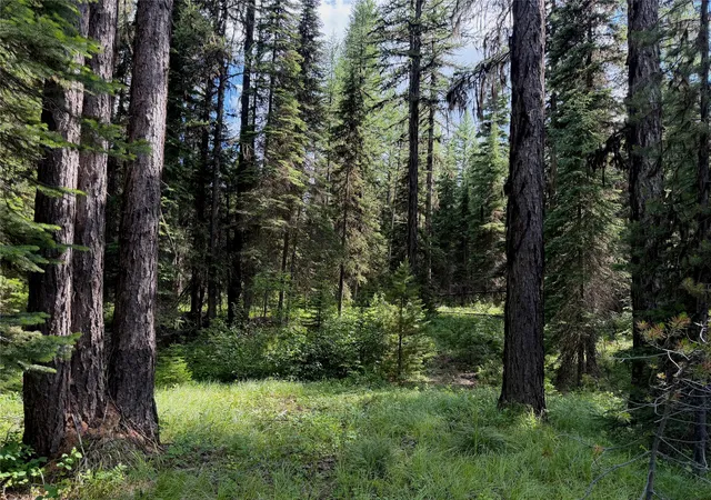 Photo 1 of Single family home for sale at 310 Moose Crk Rd, Polebridge, MT 59928 | MLS# 30073947 | Listing updated on 2026-08-19