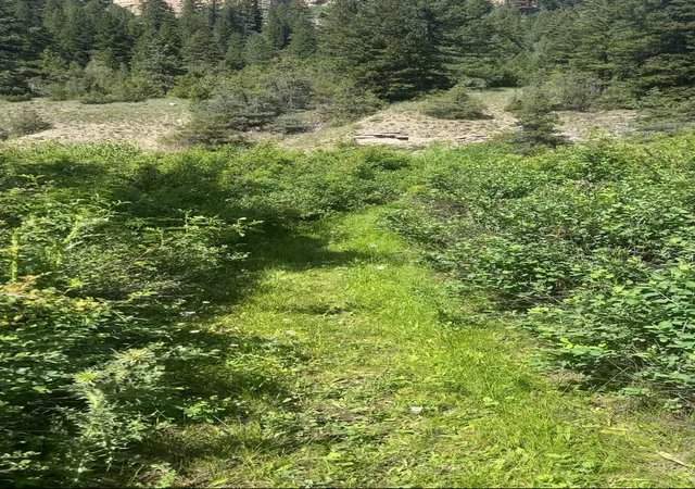 Photo 3 of Land for sale at Tbd Castle Bar Cabin Sites, White Sulphur Springs, MT 59645 | MLS# 30073766 | Listing updated on 2026-08-13