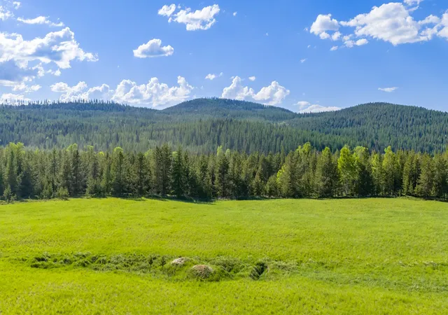 Photo 3 of Land for sale at 6999 Fortine Crk Rd, Trego, MT 59934 | MLS# 30073534 | Listing updated on 2026-08-21