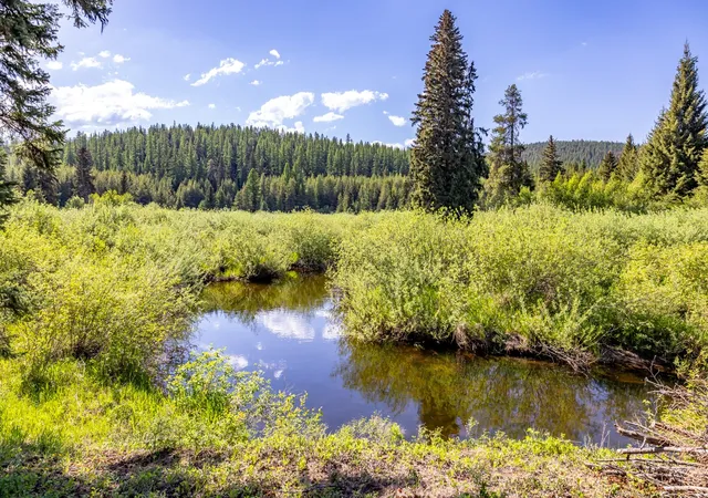 Photo 1 of Land for sale at Nhn Fortine Crk Rd, Eureka, MT 59917 | MLS# 30074335 | Listing updated on 2026-08-21