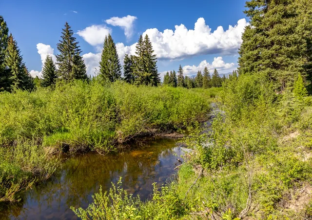 Photo 2 of Land for sale at Nhn Fortine Crk Rd, Eureka, MT 59917 | MLS# 30074335 | Listing updated on 2026-08-21