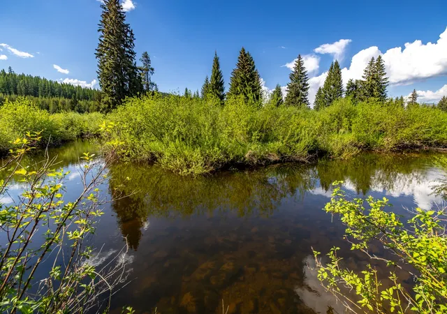 Photo 3 of Land for sale at Nhn Fortine Crk Rd, Eureka, MT 59917 | MLS# 30074335 | Listing updated on 2026-08-21