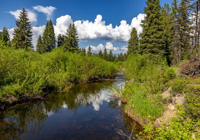 Photo 4 of Land for sale at Nhn Fortine Crk Rd, Eureka, MT 59917 | MLS# 30074335 | Listing updated on 2026-08-21