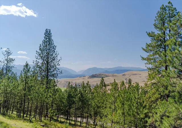 Photo 1 of Land for sale at 18 Lookout Ln, Plains, MT 59859 | MLS# 30074454 | Listing updated on 2026-08-17