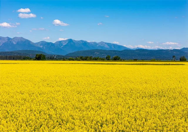 Photo 7 of Land for sale at 1000 Mt Hwy 82, Somers, MT 59932 | MLS# 30074522 | Listing updated on 2026-08-18