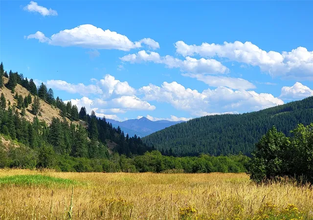 Photo 5 of Single family home for sale at 402 Whitepine Crk Rd, Trout Creek, MT 59874 | MLS# 30074646 | Listing updated on 2026-08-19