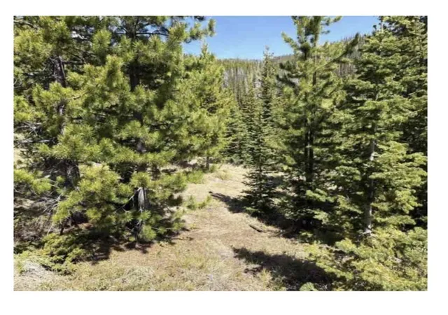 Photo 1 of Land for sale at Nhn Corral Gulch Rd, Clancy, MT 59634 | MLS# 30074821 | Listing updated on 2026-08-12