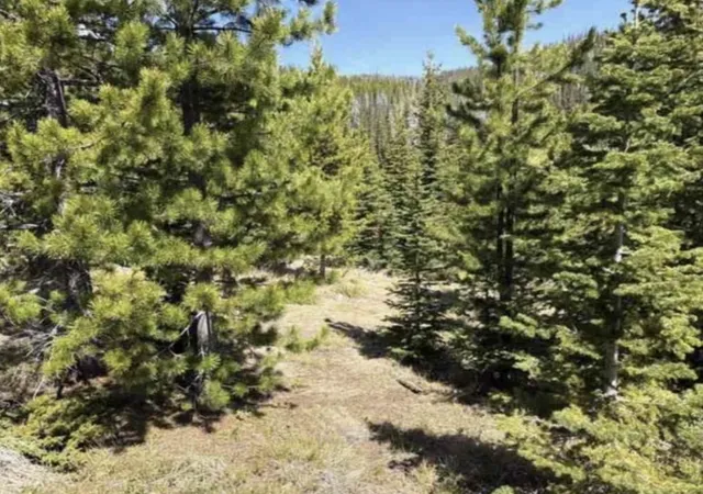 Photo 2 of Land for sale at Nhn Corral Gulch Rd, Clancy, MT 59634 | MLS# 30074821 | Listing updated on 2026-08-12