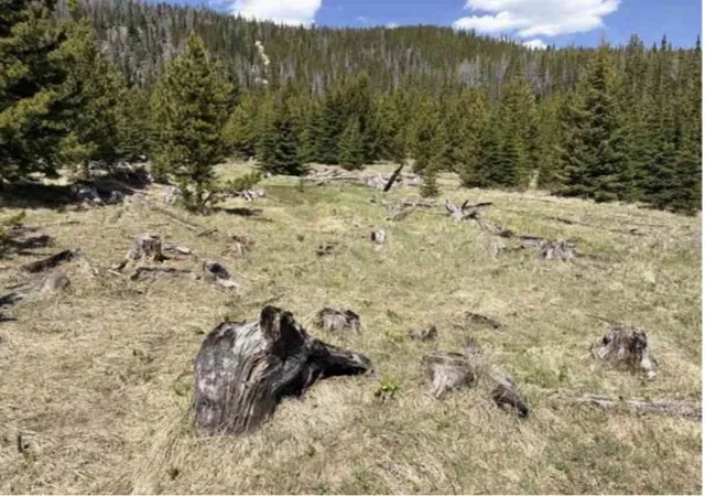 Photo 4 of Land for sale at Nhn Corral Gulch Rd, Clancy, MT 59634 | MLS# 30074821 | Listing updated on 2026-08-12