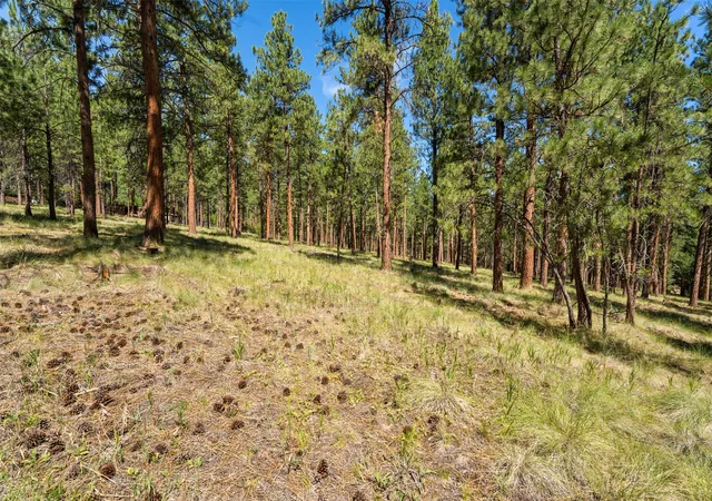 Photo 13 of Land for sale at Nhn Spirit Pine Rd, Victor, MT 59875 | MLS# 30074837 | Listing updated on 2026-08-26